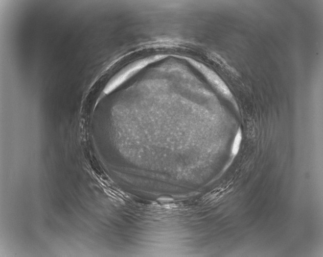 X0000067841208200605041640