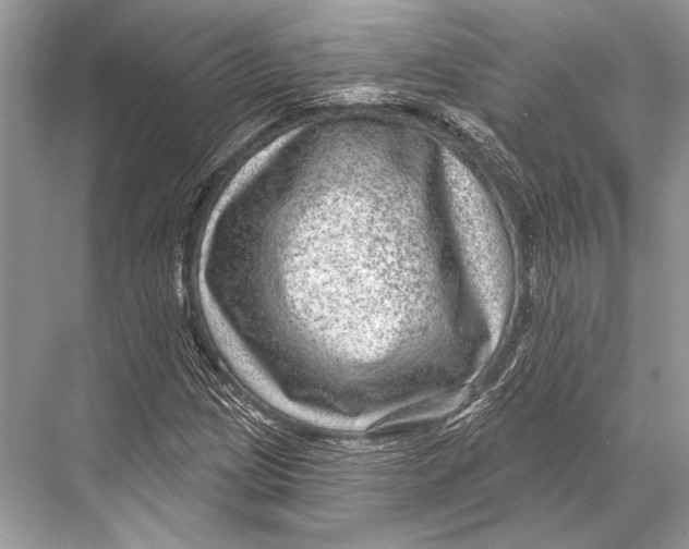 X0000067841209200605041640