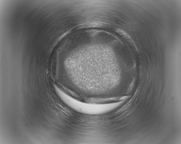 X0000067841210200605041640