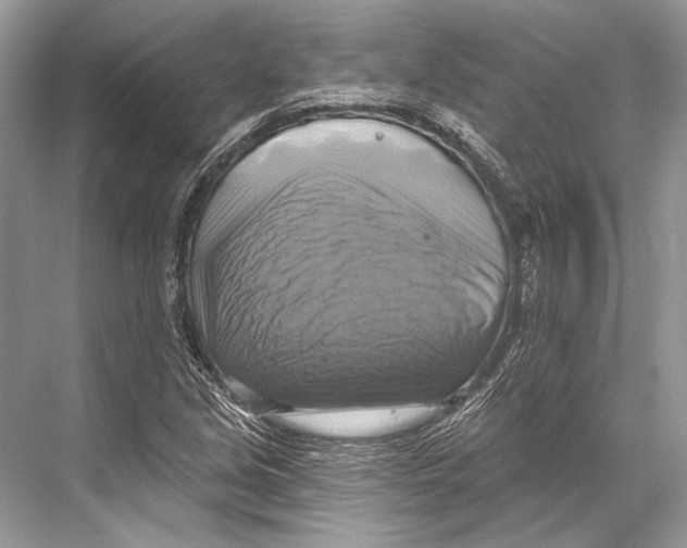 X0000067841213200605041640