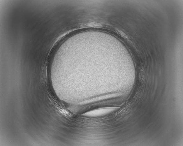 X0000067841214200605041640