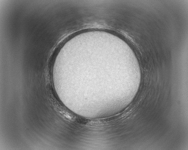 X0000067841215200605041640