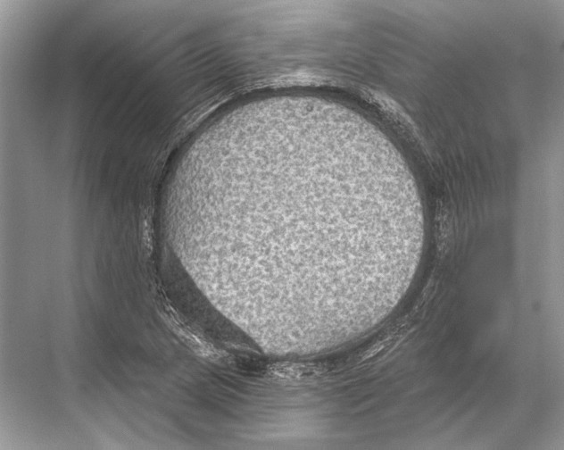 X0000067841217200605041641