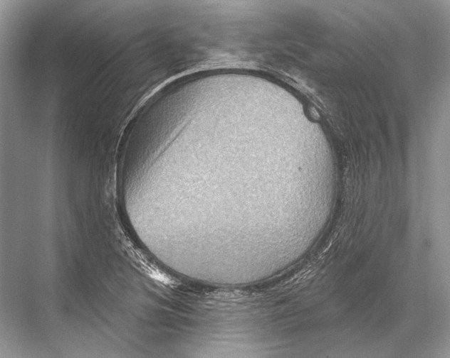 X0000067841220200605041641