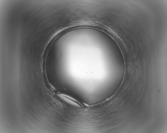 X0000067841222200605041641