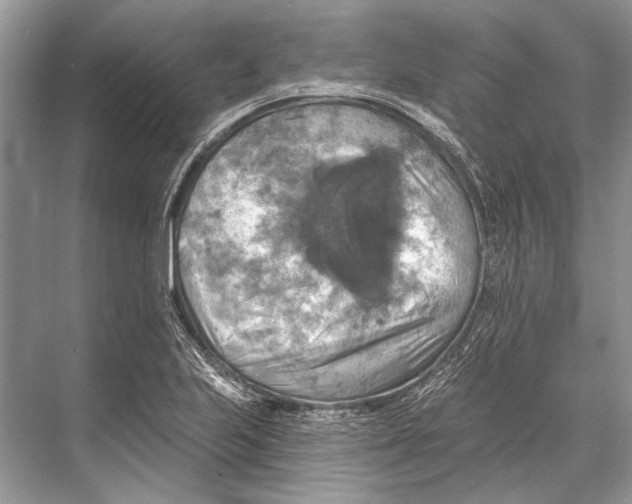 X0000067841223200605041641