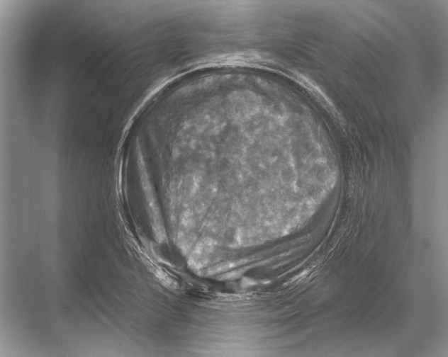 X0000067841224200605041641