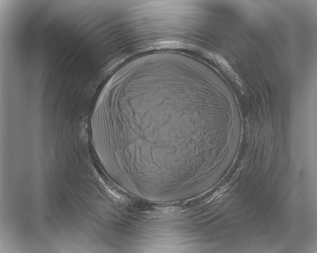 X0000067841225200605041641