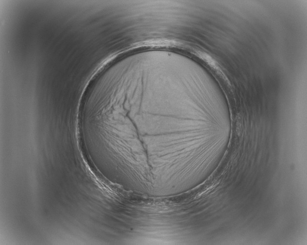 X0000067841229200605041641