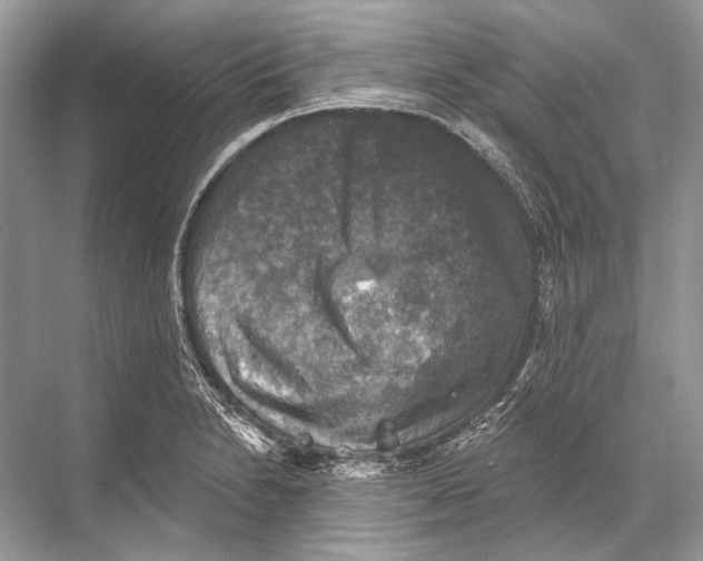 X0000067841230200605041641