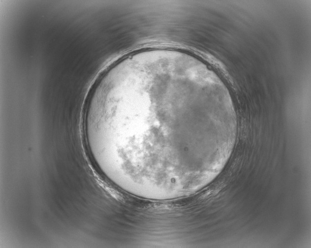 X0000067841231200605041641