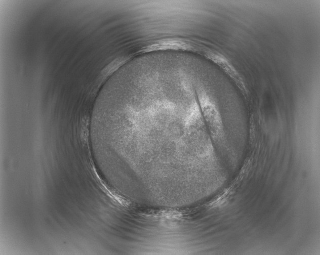 X0000067841233200605041641