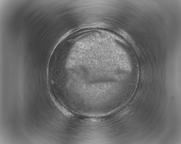 X0000067841234200605041641