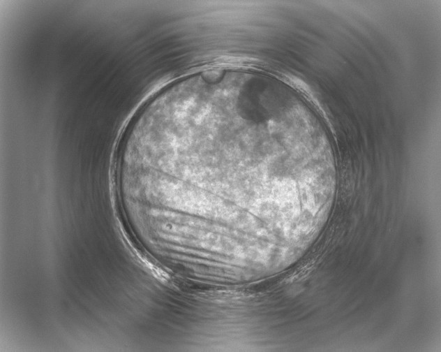 X0000067841235200605041641