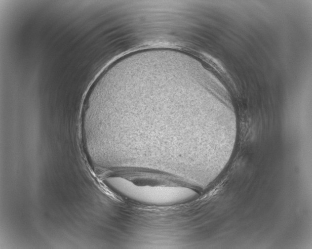 X0000067841236200605041641