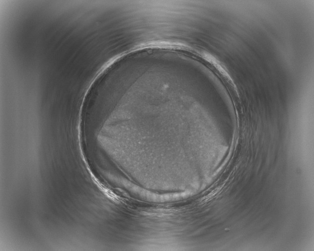 X0000067841237200605041641