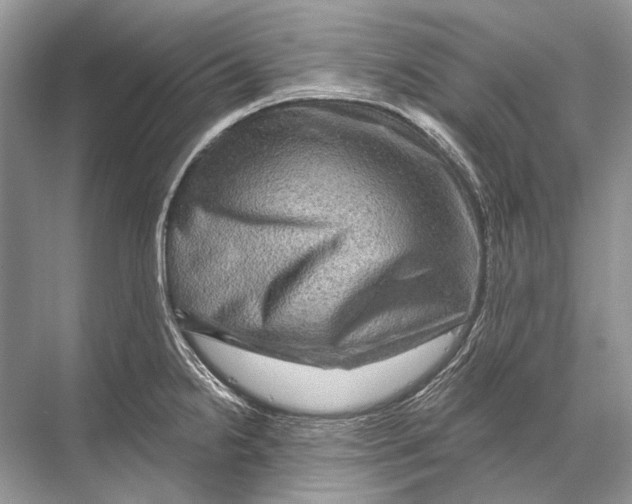 X0000067841238200605041641