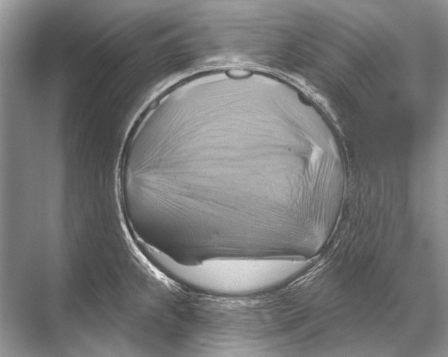 X0000067841239200605041641