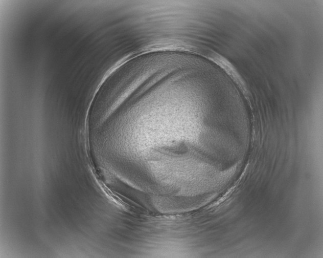 X0000067841242200605041641