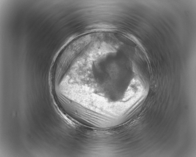 X0000067841243200605041641