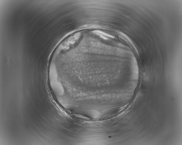 X0000067841244200605041641