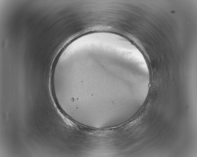 X0000067841245200605041641