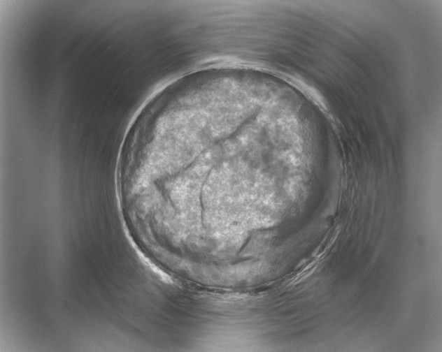 X0000067841247200605041641