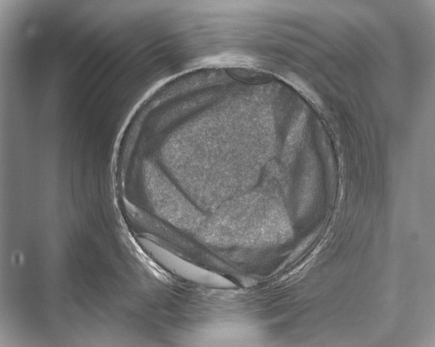 X0000067841248200605041641