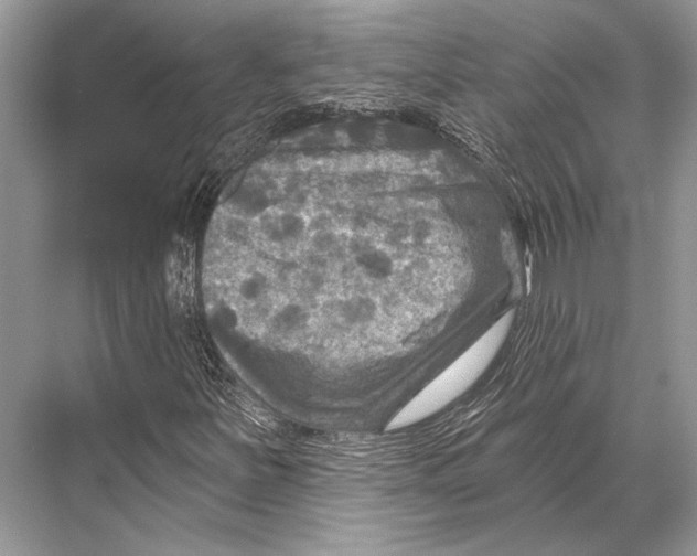 X0000067841251200605041640