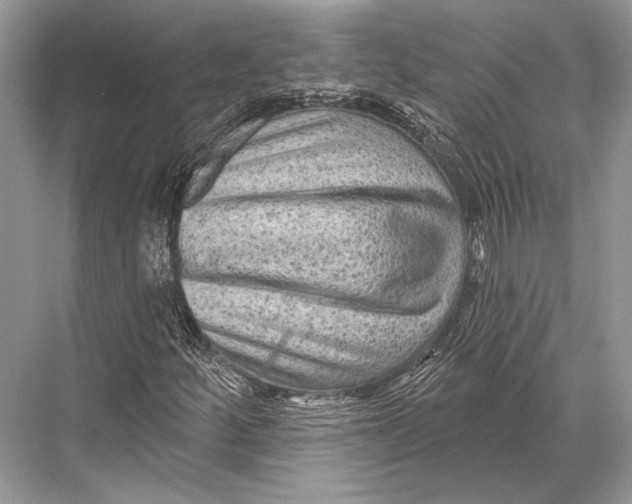 X0000067841252200605041640