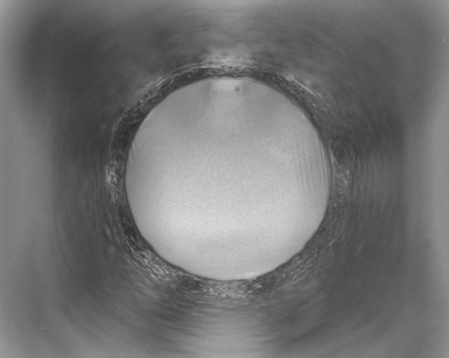 X0000067841254200605041640