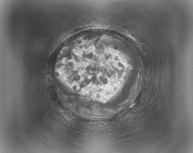 X0000067841255200605041640