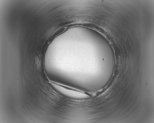 X0000067841257200605041640