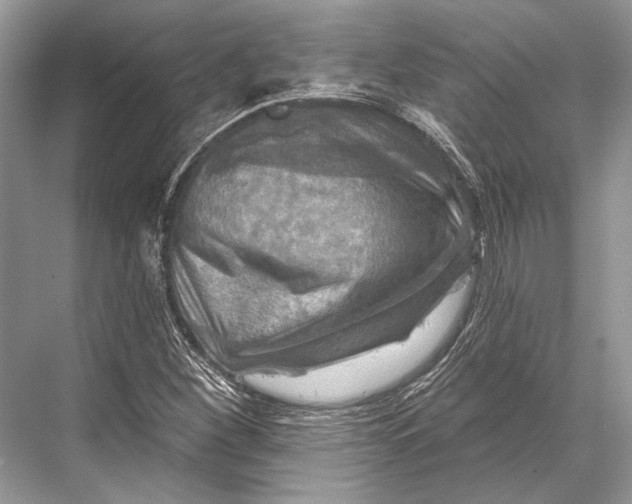 X0000067841260200605041640