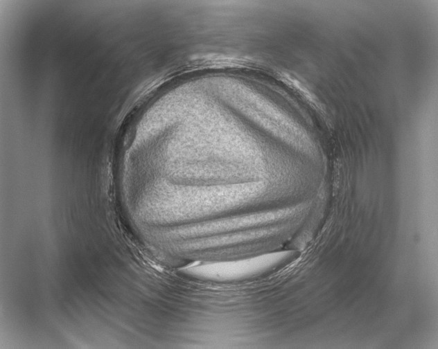 X0000067841261200605041640