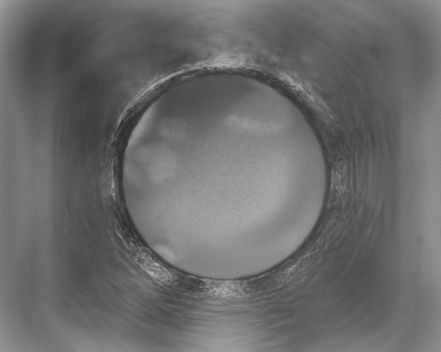 X0000067841262200605041640