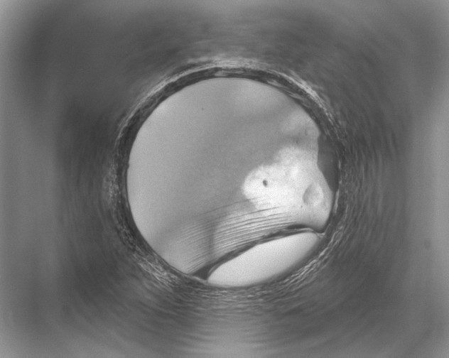 X0000067841263200605041640