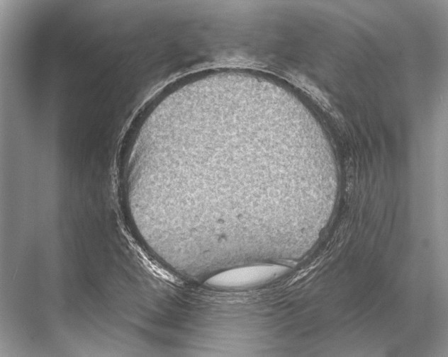 X0000067841264200605041640