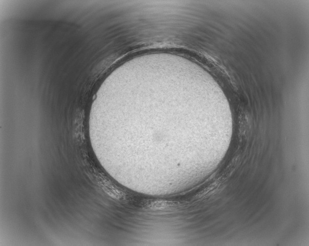 X0000067841265200605041640