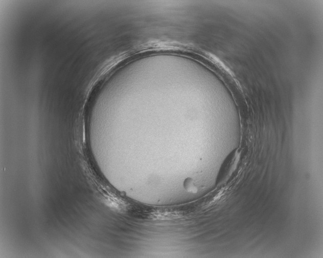 X0000067841269200605041640