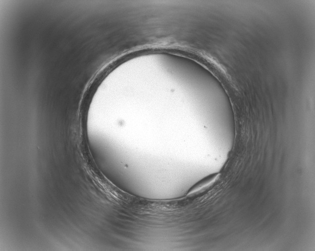 X0000067841270200605041640