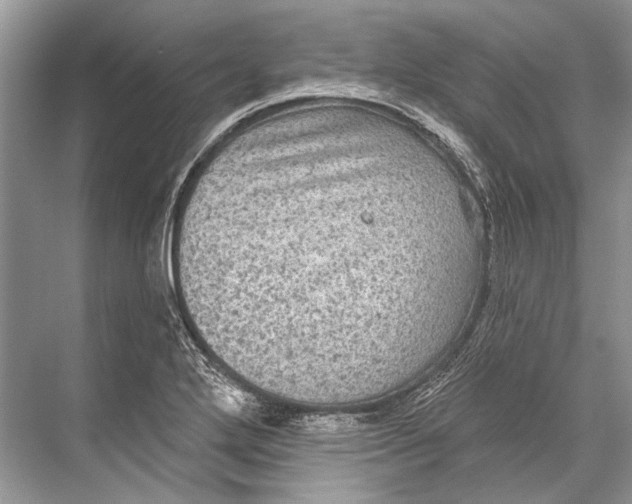 X0000067841272200605041640