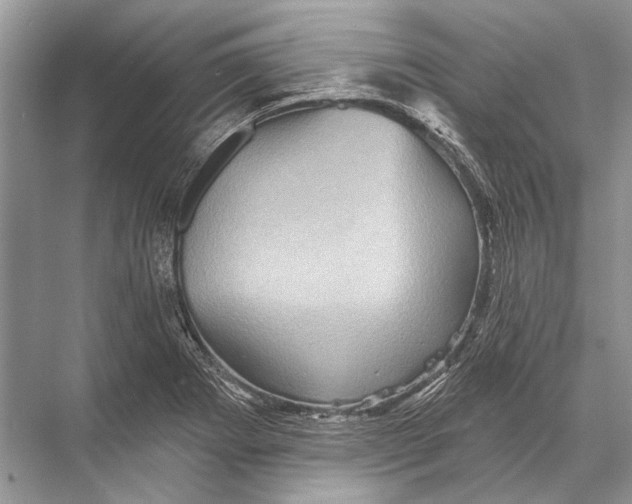 X0000067841273200605041640