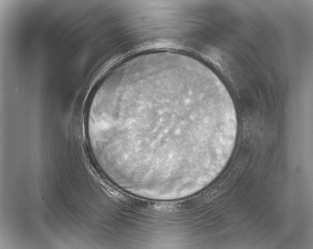 X0000067841274200605041640