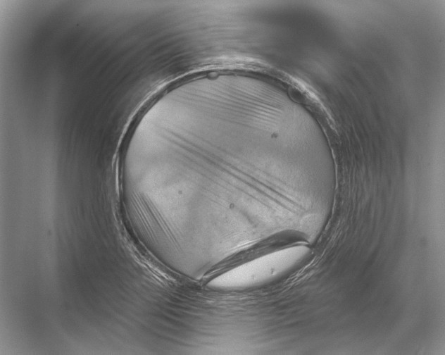 X0000067841275200605041640