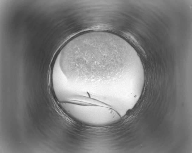 X0000067841276200605041640