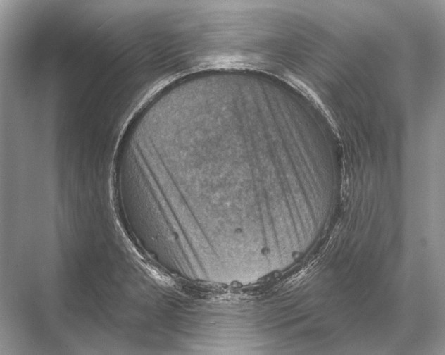 X0000067841277200605041640