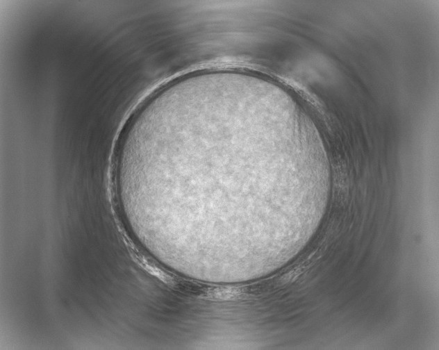 X0000067841278200605041640