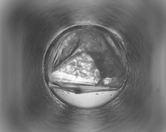 X0000067841279200605041640