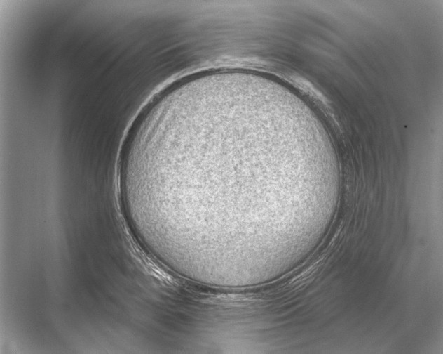 X0000067841280200605041640